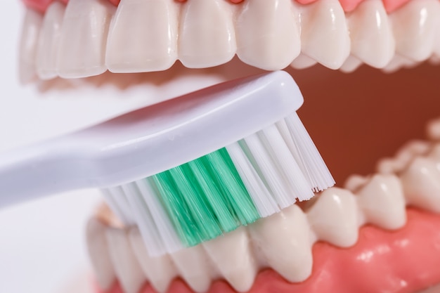 电动牙刷与普通牙刷的区别