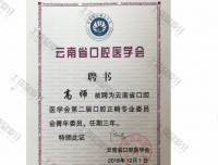 荣誉资质-云南省正畸专业委员会青年委员