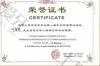 荣誉资质-荣誉证书