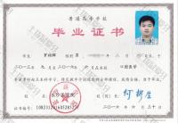 荣誉资质-学历证书