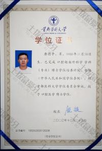 荣誉资质-学位证书
