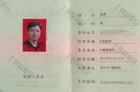 荣誉资质-主任医师证书
