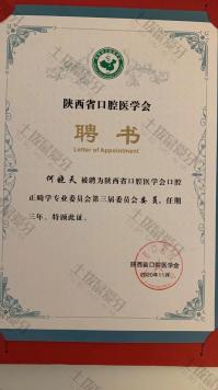荣誉资质-省正畸专委会委员聘书