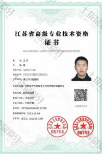 荣誉资质-技术资格证书