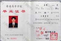 荣誉资质-本科毕业证书