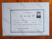 荣誉资质-毕业证
