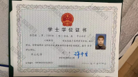 荣誉资质-学位证书