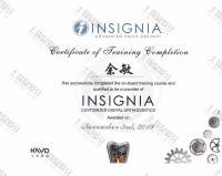 荣誉资质-Insignia精准自锁认证医师 