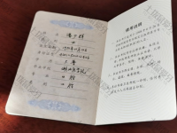 荣誉资质-医师资格证