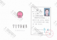 荣誉资质-学位证