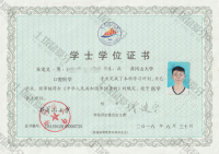 荣誉资质-本科毕业证