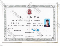 荣誉资质-本科学位证