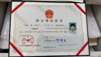 荣誉资质-毕业证