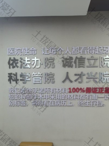 点评