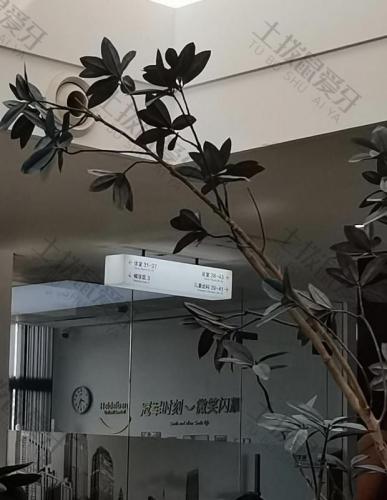 点评