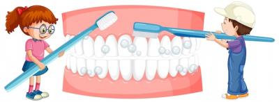 儿童牙科保健全面指南，从乳牙到恒牙的保护