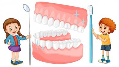 纯钛全口义齿价格，纯钛义齿的优势与费用解析