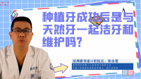 种植牙成功后是与天然牙一起洁牙和维护吗
